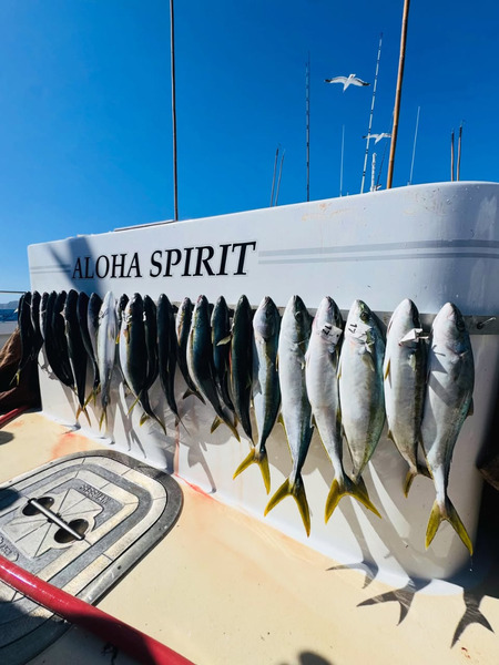Aloha Spirit