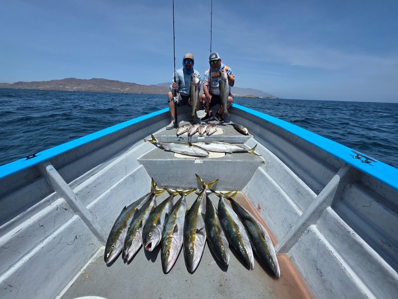 Cedros Sportfishing
