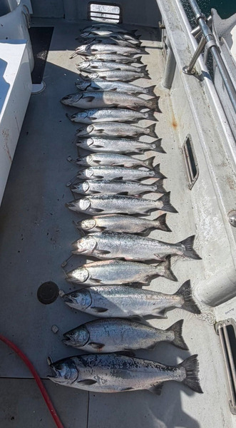 Predator (WA)