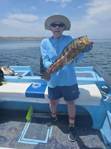 Cedros Sportfishing