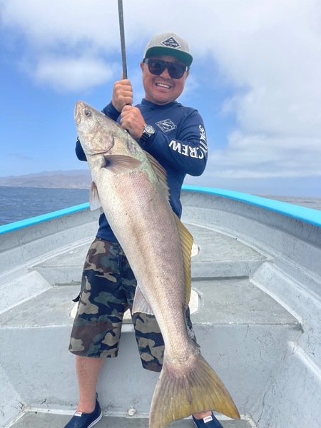 Cedros Sportfishing