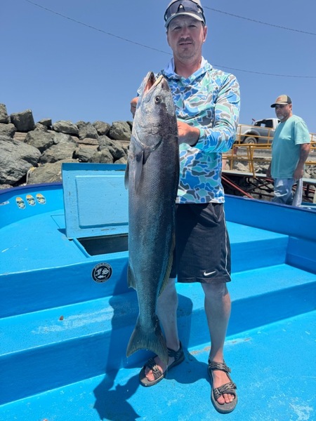 Cedros Sportfishing