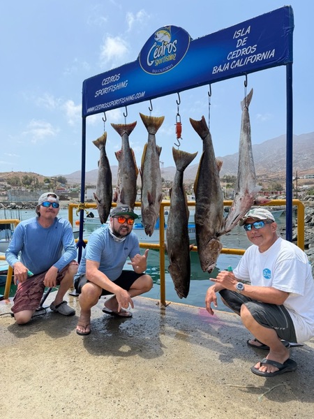 Cedros Sportfishing
