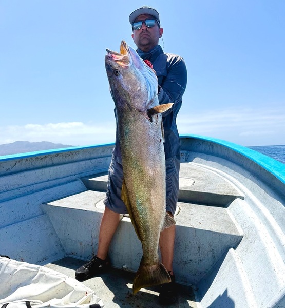 Cedros Sportfishing