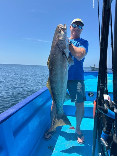 Cedros Sportfishing