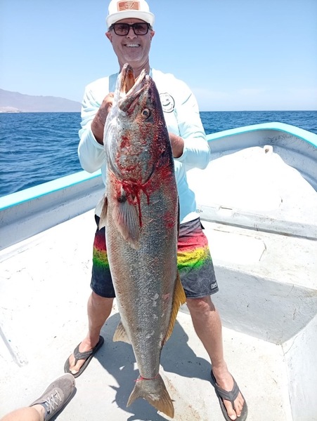 Cedros Sportfishing