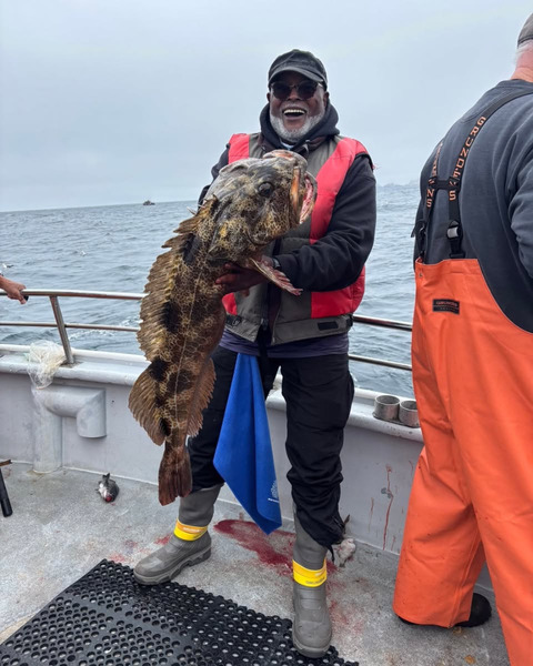 Sea Wolf