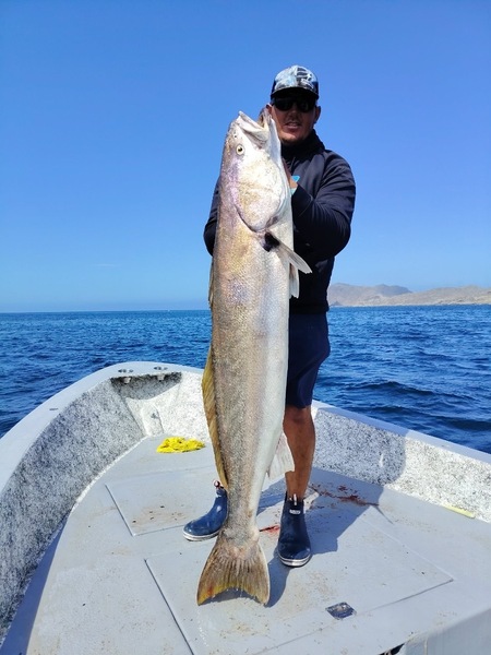 Cedros Sportfishing