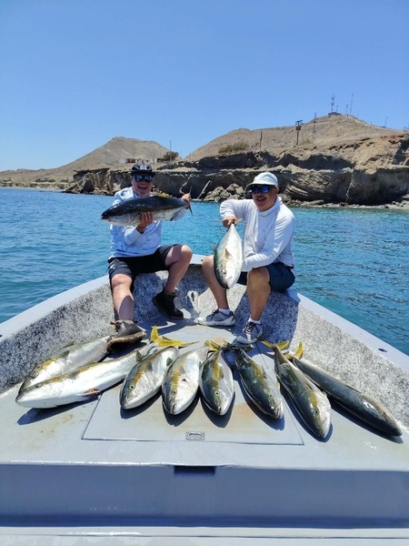 Cedros Sportfishing