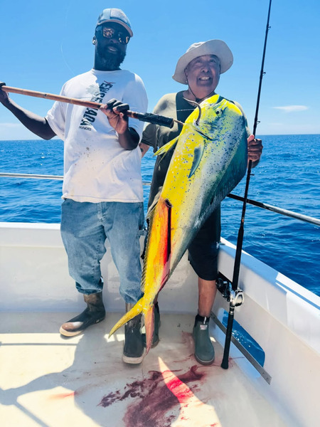 Aloha Spirit
