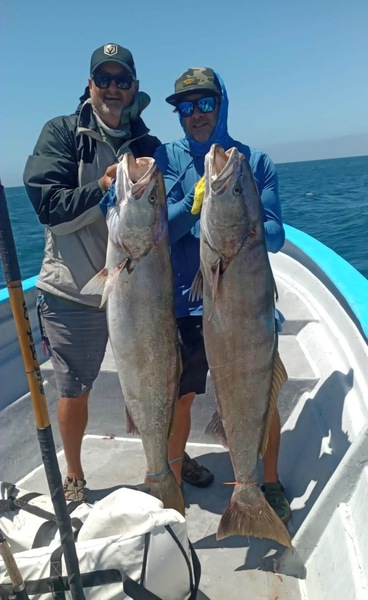 Cedros Sportfishing