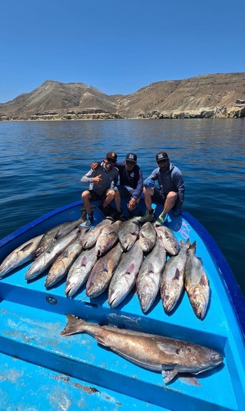 Cedros Sportfishing