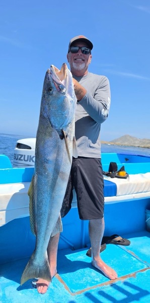 Cedros Sportfishing