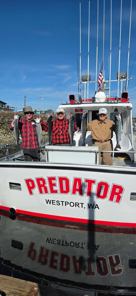 Predator (WA)