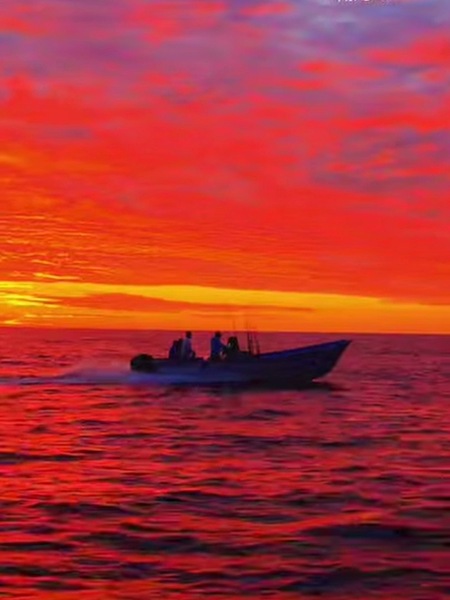 Cedros Sportfishing