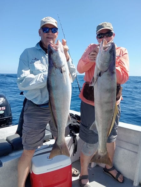 Cedros Sportfishing