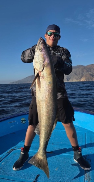 Cedros Sportfishing