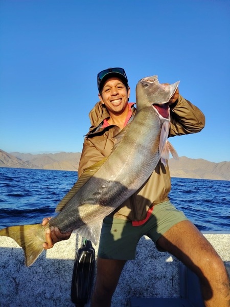 Cedros Sportfishing