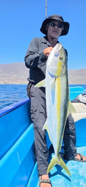 Cedros Sportfishing