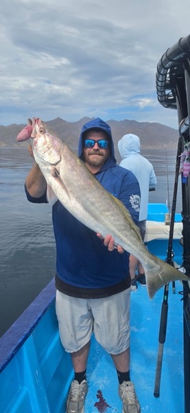 Cedros Sportfishing