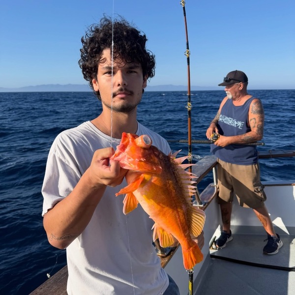 Coral Sea