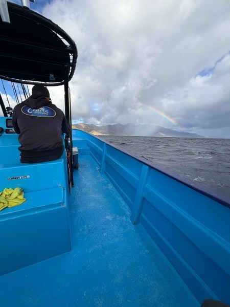 Cedros Sportfishing