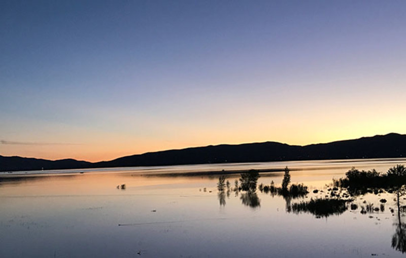 Nevada fishing report: Little Washoe Lake receives stocking of catfish